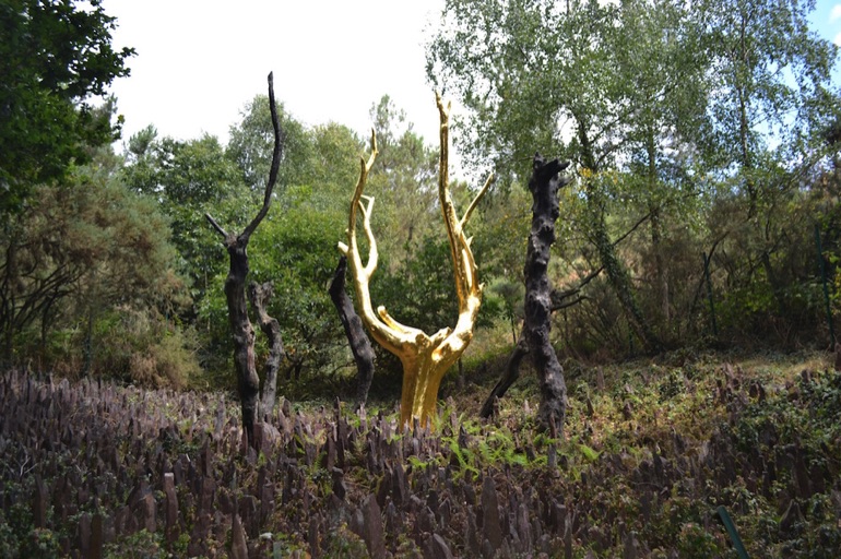 Golden Tree, Forest of Paimpont